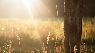 免费信息轰炸机