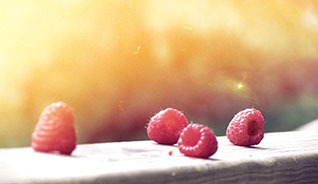 【如何安装教程】步骤详解的短信接码测评